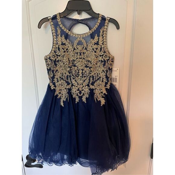 Rare Editions Girl's Mesh Embroidered Floral Sleeveless Dress Blue Gold Size 10 - Picture 1 of 5